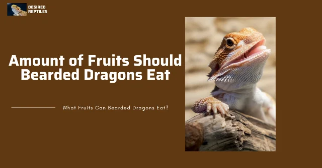 Amount of fruits for bearded dragons how much fruit to feed your bearded dragon