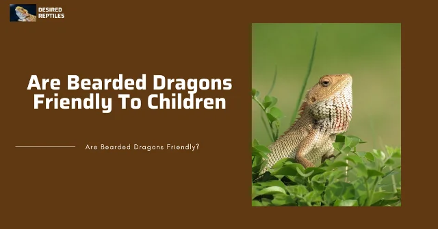 bearded dragons and children are bearded dragons friendly to children