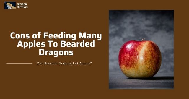dangers of feeding apples to bearded dragons daily