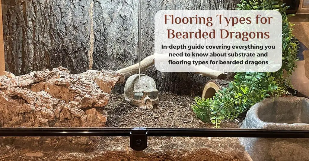 ten types of flooring for bearded dragons